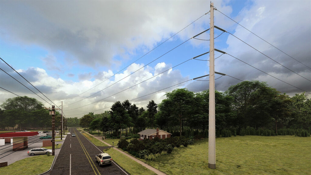 Georgia Transmission Corp - Roopville 46 to 230kV Rebuild